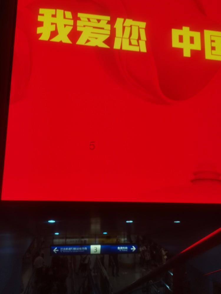 夏日时尚的爱丽